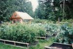 Summer '94 the beds are in full on production