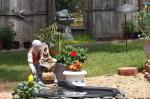 Morning Doves on bird bath