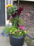 My tipsy planter so far this year
