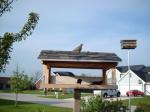 Red winged Blackbirds and Mourning dove