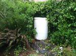 rain barrel