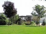 Pergola bird feeding area...