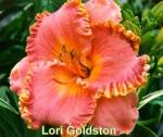 Lori Goldston Daylily