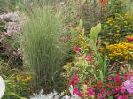 Morning Light grass ,misc flowers