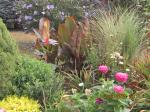 tall cannas,misc annuals front bed