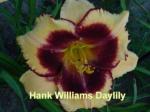 Hank Williams Daylily