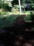 A mulch path begins