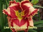 Lies And Lipstick Daylily