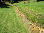 creek in my backyard