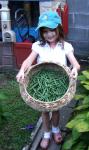 The first harvest from Ava's garden.