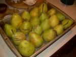 Pears from my boss's tree