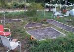 fall vegetable gardens