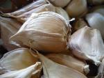 China Old Garlic
