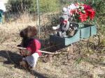 Little bears collecting more flowers