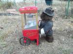 Little Bears popcorn wagon