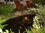 My Big Pond - At Night