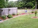 2nd yr Front fenceline in May 09