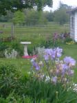 Back bed and birdbath bed in Spring