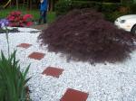This is one side of my new Japenese Garden