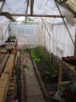 Inside the greenhouse