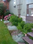 Side garden and my favorite Peony's-spring 2008