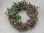 Succulent wreath...