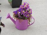 Purple watering can...