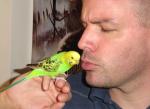 Man & Bird... the 2 sweetest in the wide-world!