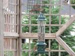 Squirrel Buster Plus feeder