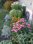 Side garden-summer 