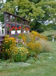 Back garden in Fall