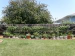 Pots all lined up from our patio...