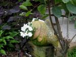 Clay Fish with a mouthful of white Impatiens