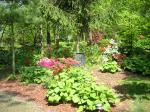 Beverly Knight - The Azalea Path Arboretum