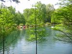 Beverly Knight - The Azalea Path Arboretum