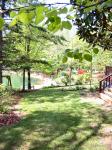 Beverly Knight - The Azalea Path Arboretum