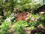 Beverly Knight - The Azalea Path Arboretum