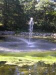 water feature, Dow Gardens