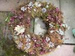Sedum wreath resting (red and variegated  foliage)