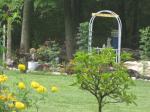 shade garden 