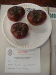 Beefsteak toms first